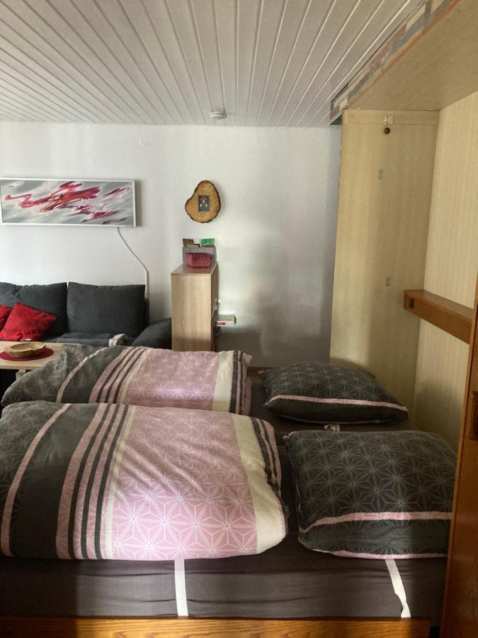 Gemuetliche Ferienwohnung In Sankt Blasien Eksteriør bilde